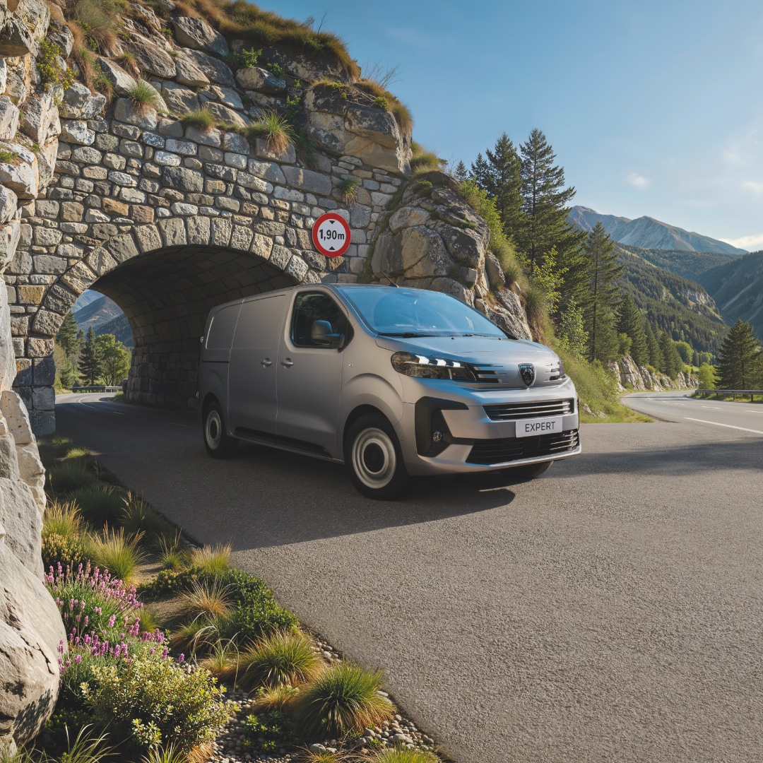 PEUGEOT EXPERT height limited to 1.90 m