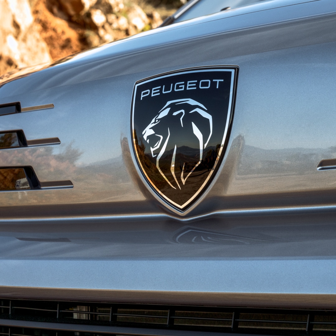 PEUGEOT E-Expert front face