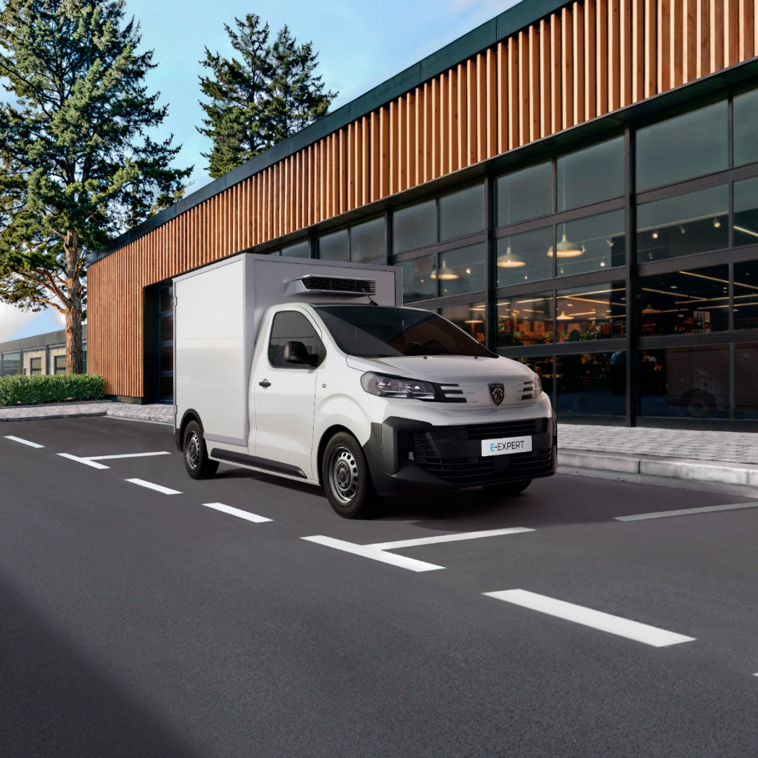 PEUGEOT E-Expert refrigerated body